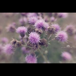 Meet your Posher, Paulette